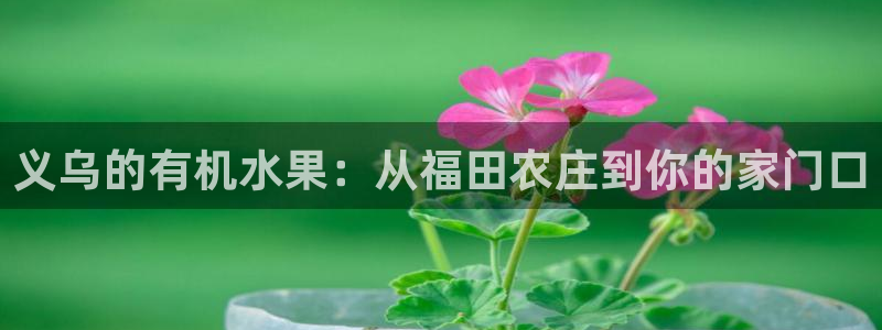 摩根娱乐会所门头
