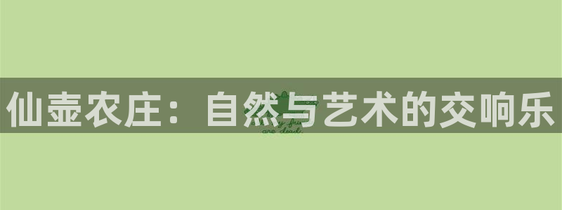 摩根娱乐50186选择