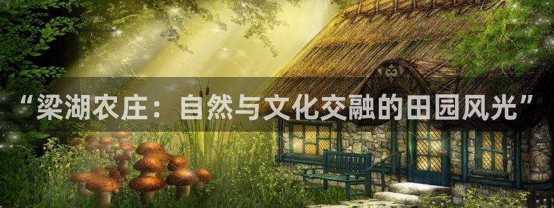 摩根 娱乐宝诈骗