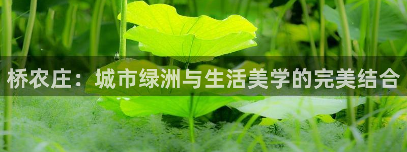 临平摩根国际娱乐会所