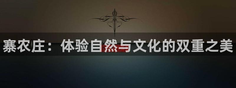 摩根会娱乐会所
