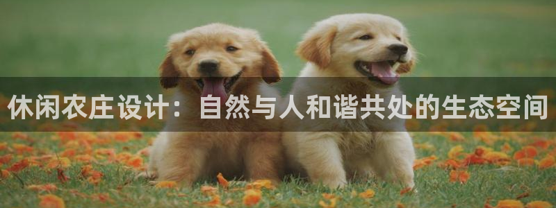 临平摩根娱乐会所电话