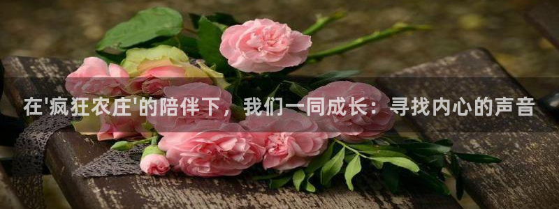 摩根娱乐宝创始人