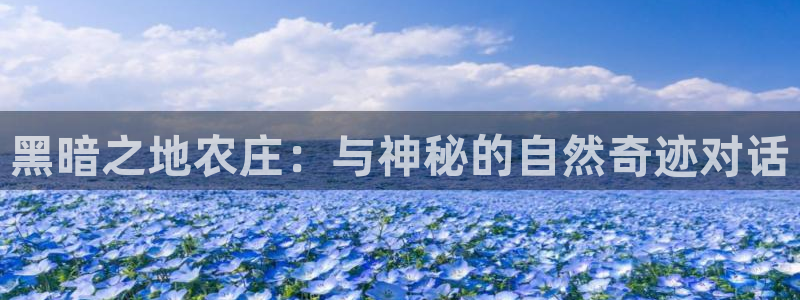 摩根娱乐宝可靠不