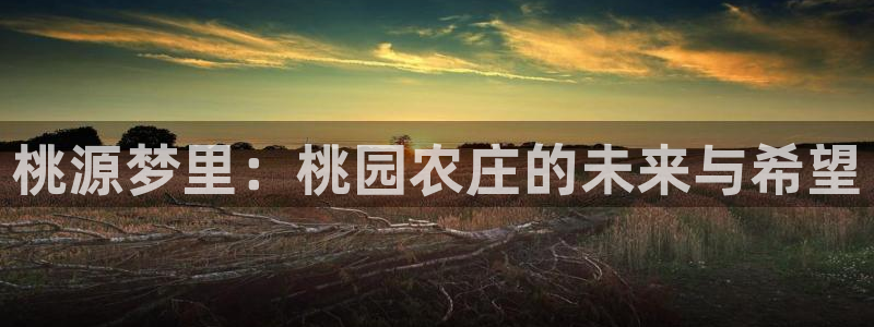 摩根娱乐宝。知道吗