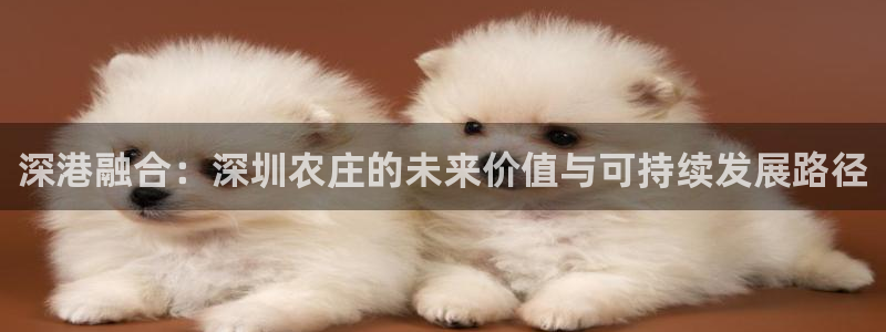 摩根娱乐注册m总管