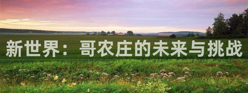 泉州摩根会娱乐