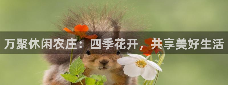 微信里面摩根娱乐宝