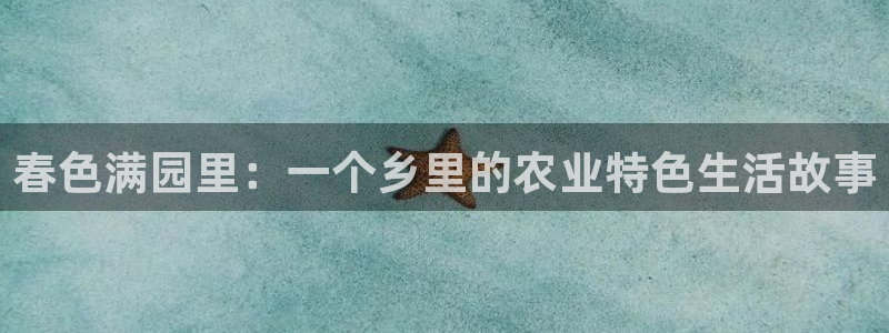 摩根娱乐宝使用操作