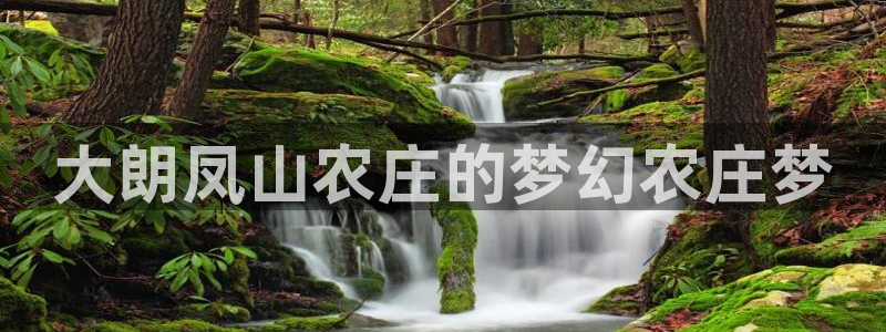 济宁摩根国际娱乐