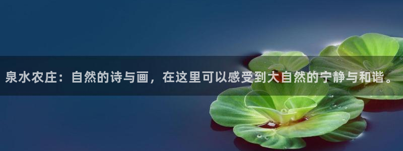 摩根国际娱乐会所