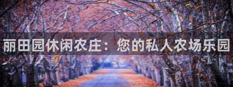 摩根娱乐登录网址