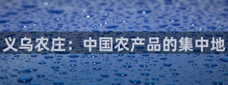 摩根娱乐宝机构代码