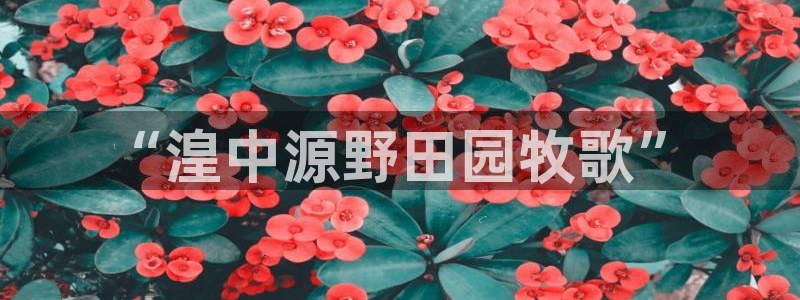 泉州摩根娱乐会所
