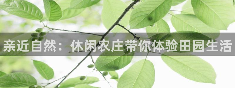 白宫摩根娱乐场所