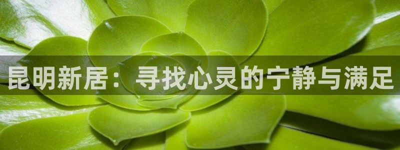 摩根娱乐宝机构代码