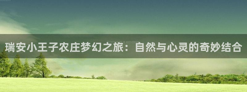 嘉兴摩根大饭店 娱乐