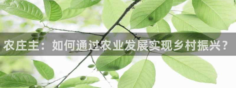 摩根娱乐注册账号