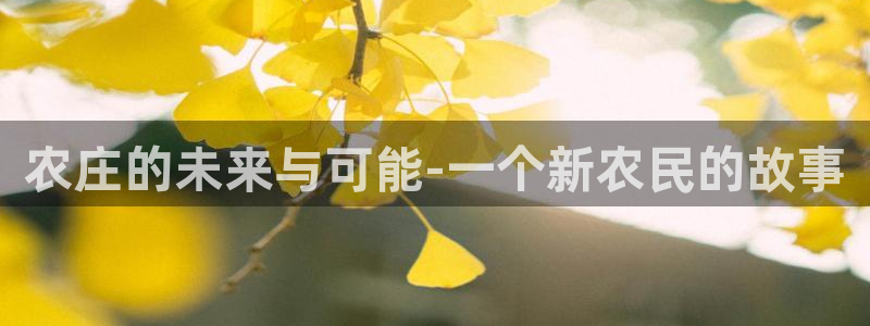 摩根娱乐和摩根国际