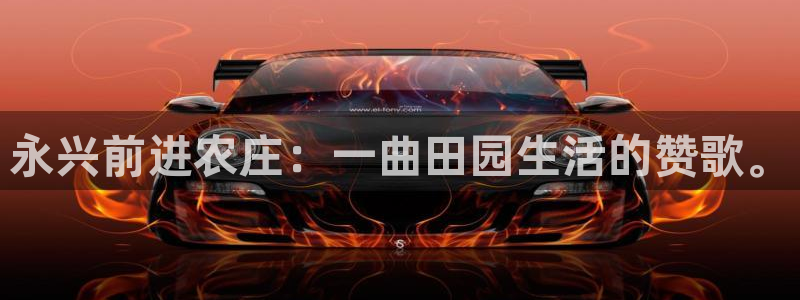 摩根大通王者娱乐