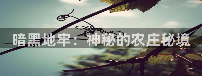 摩根大通黄金娱乐