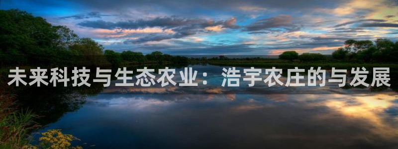 摩根娱乐和摩根国际