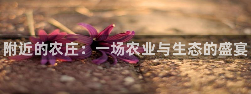 白宫摩根娱乐场所