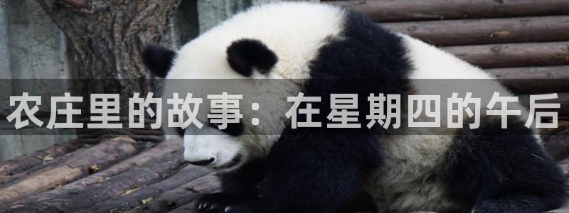 摩根娱乐宝收益怎么样