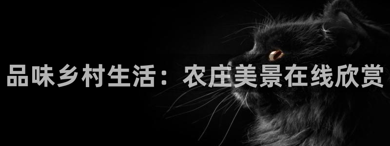 摩根娱乐会所招少爷么