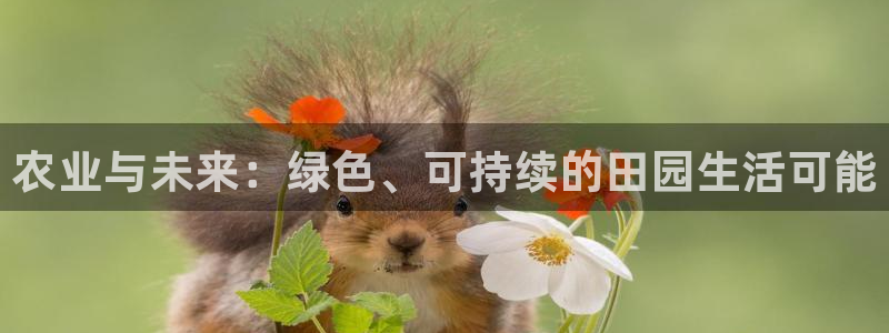 摩根娱乐宝如何提现