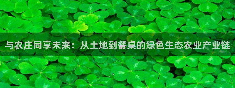 摩根娱乐宝总部招商