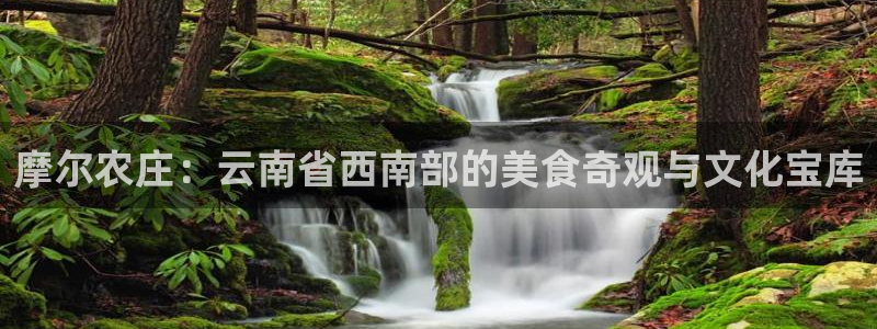 摩根娱乐 c招a商77130