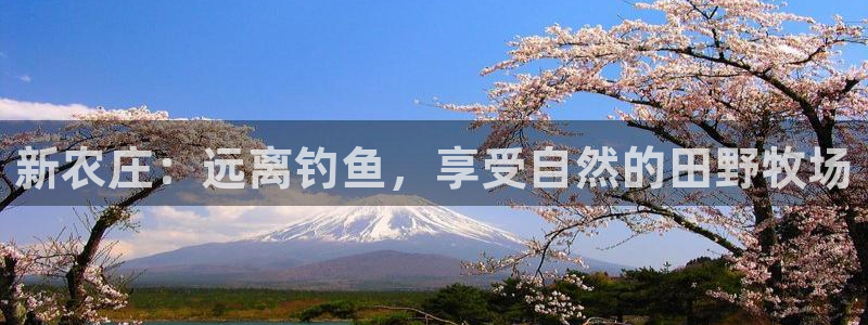 香港摩根娱乐宝