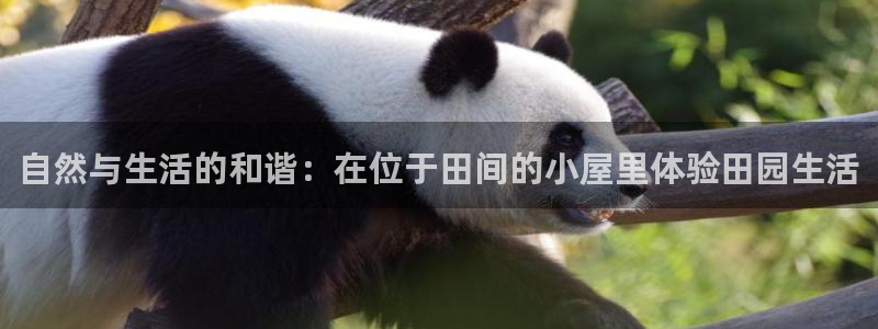 摩根娱乐宝微信客服