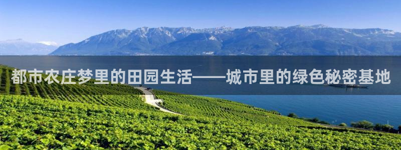 摩根娱乐宝平台