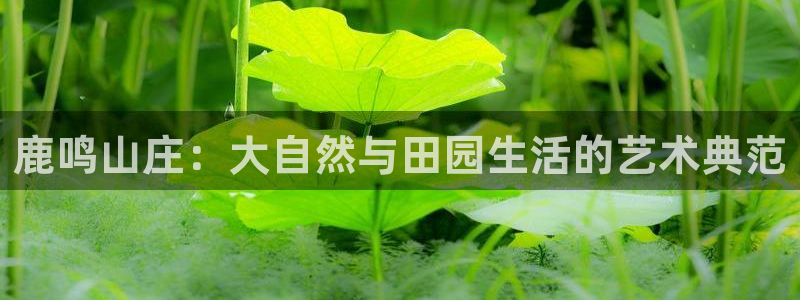 武汉摩根众睿娱乐