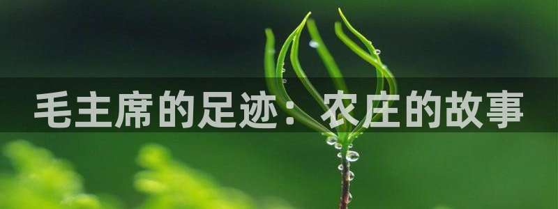 临平摩根娱乐会所怎么样