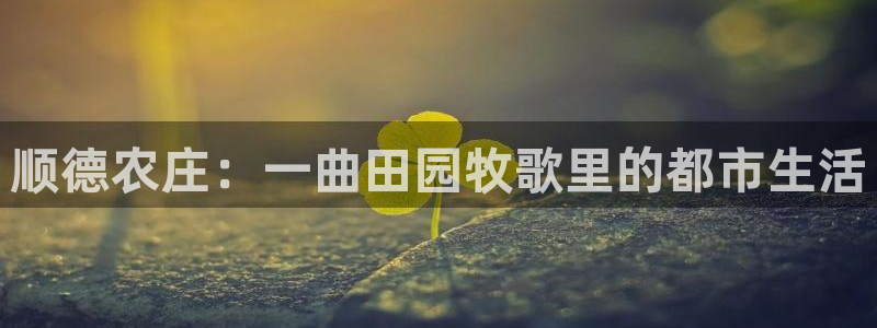 泉州摩根会娱乐