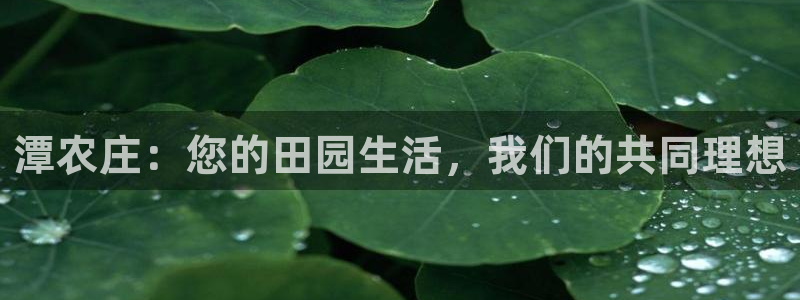 摩根娱乐百家号