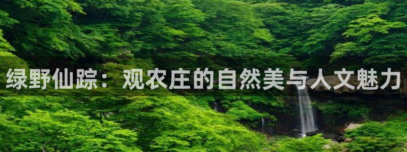 济宁摩根国际娱乐