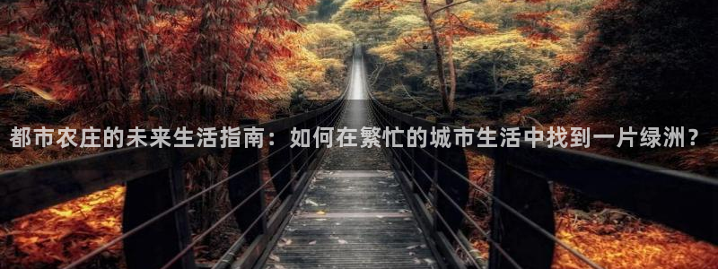 摩根娱乐套路