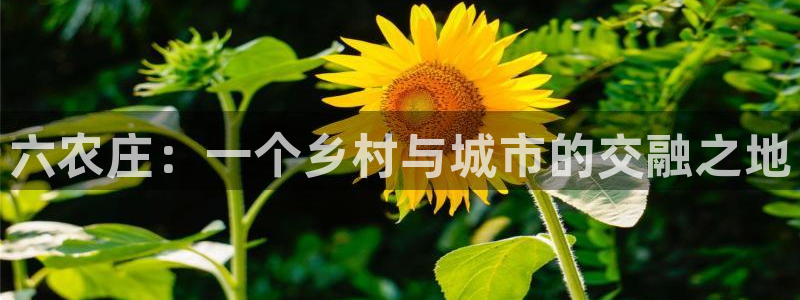 泉州摩根娱乐会所怎么样