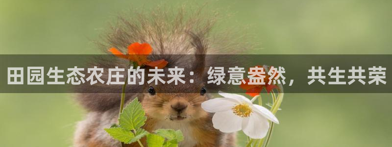 下载摩根娱乐宝