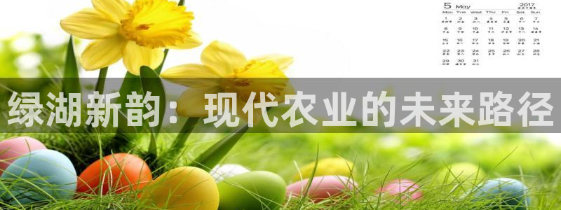 摩根娱乐宝下载