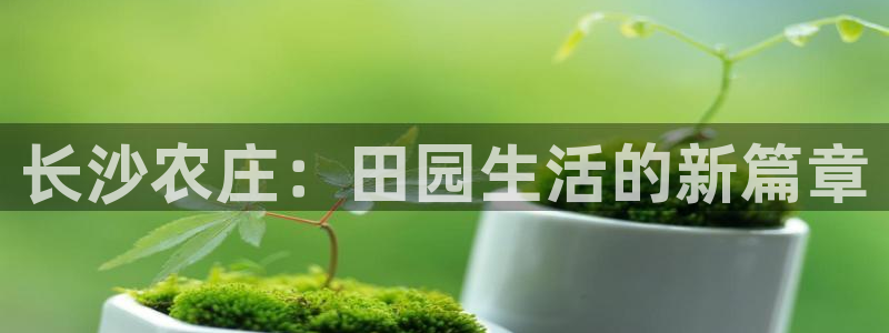 昆明滇池路摩根道娱乐