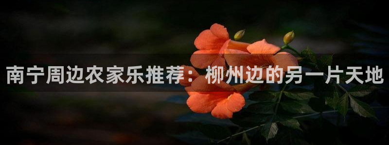 临平摩根娱乐会所地址