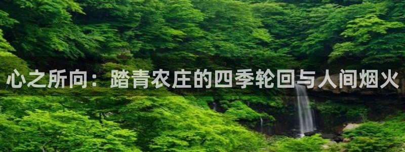 首页摩根娱乐平台