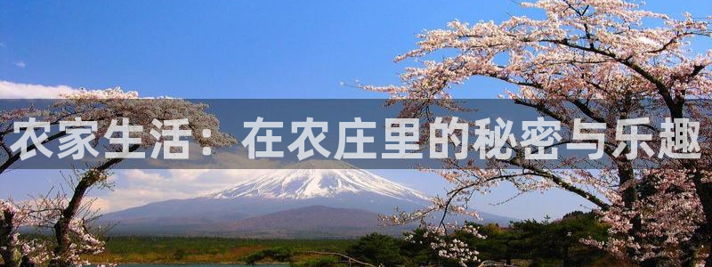 摩根娱乐宝合法吗