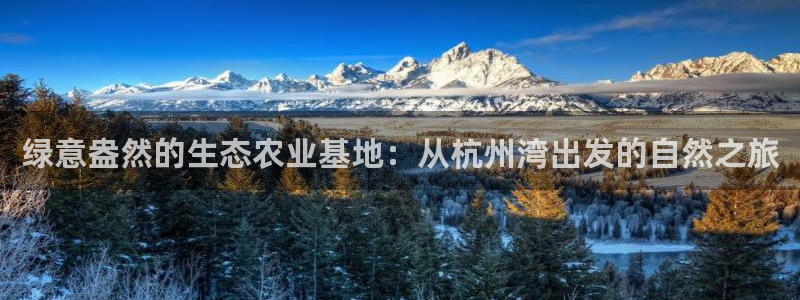 摩根国际商务娱乐会所