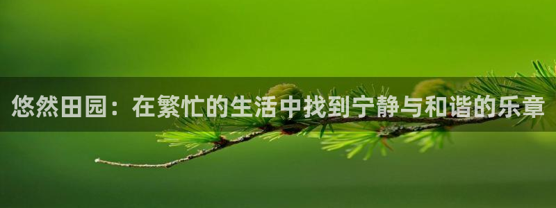 香港摩根娱乐宝